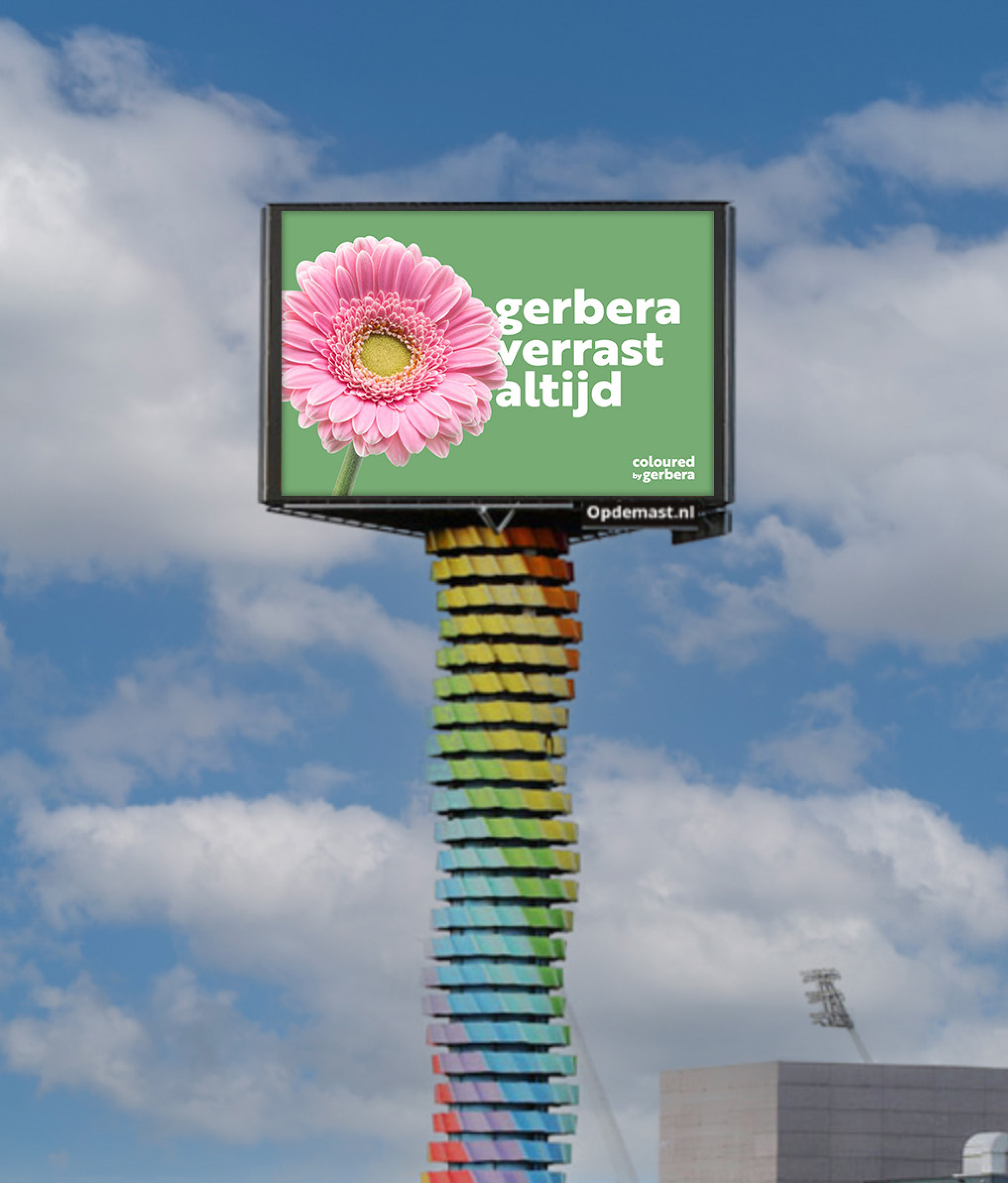 zendpaal gerbera verrast altijd