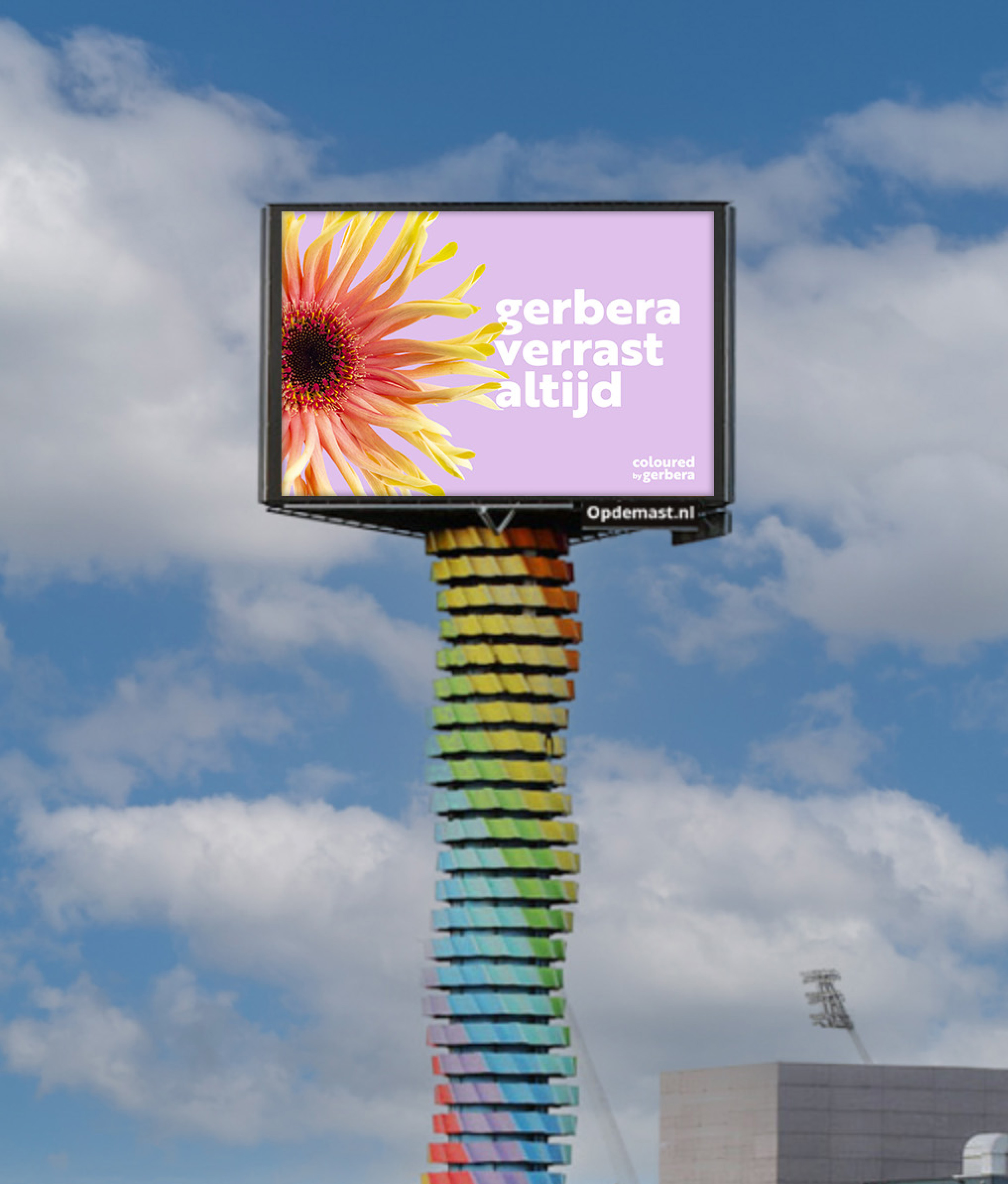 zendpaal gerbera verrast altijd